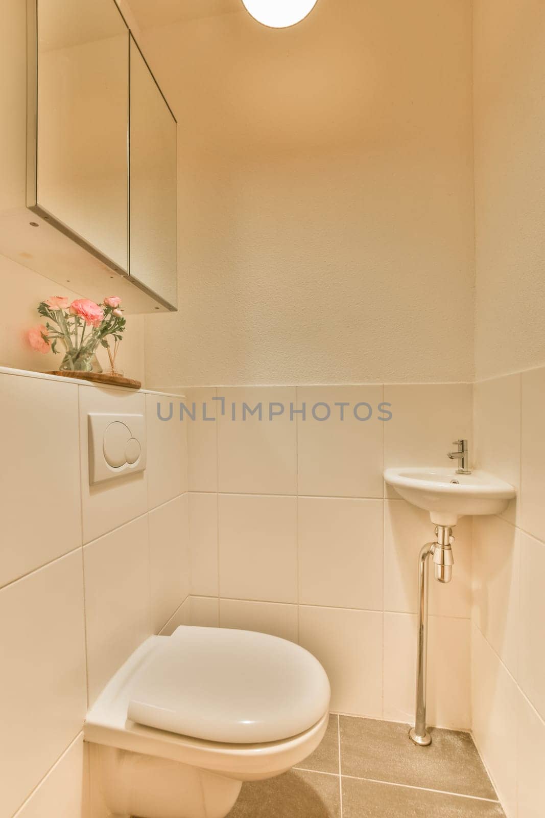 a small bathroom with a toilet and flower in the corner on the wall next to the sink is also white