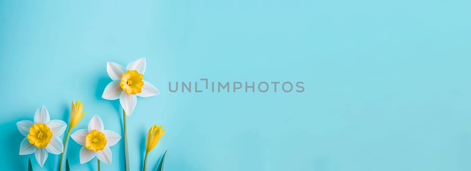 Spring easter background with top view of daffodils bouquet on light blue background with copy space.