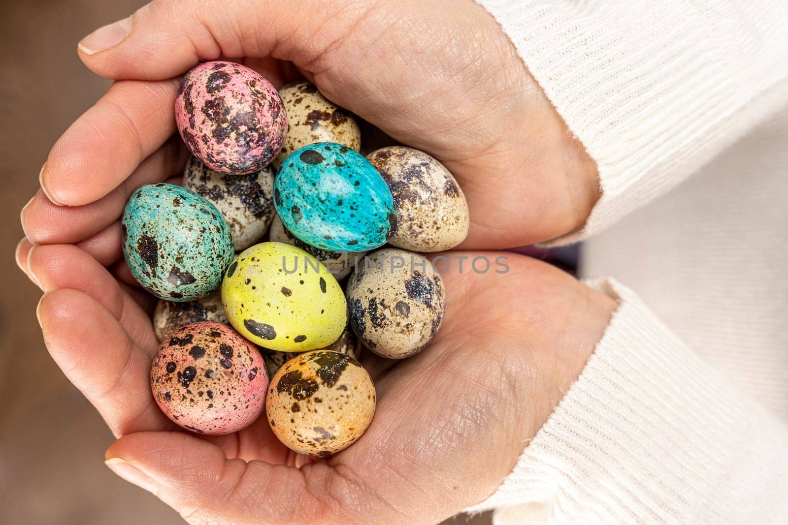 colorful easter eggs in women's hands. Easter greeting card. a place to copy. close-up of quail eggs in the palms. quail eggs. Easter eggs. top view