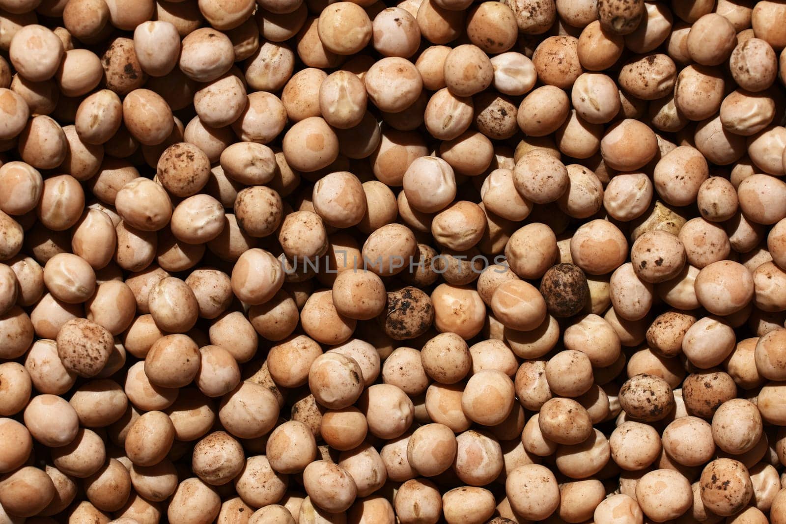 Dry seeds of peas for sowing. Ripe green pea seeds close-up. Preparation for garden season in early spring. Top down view. Preparation of seeds for sowing. Agricultural background.