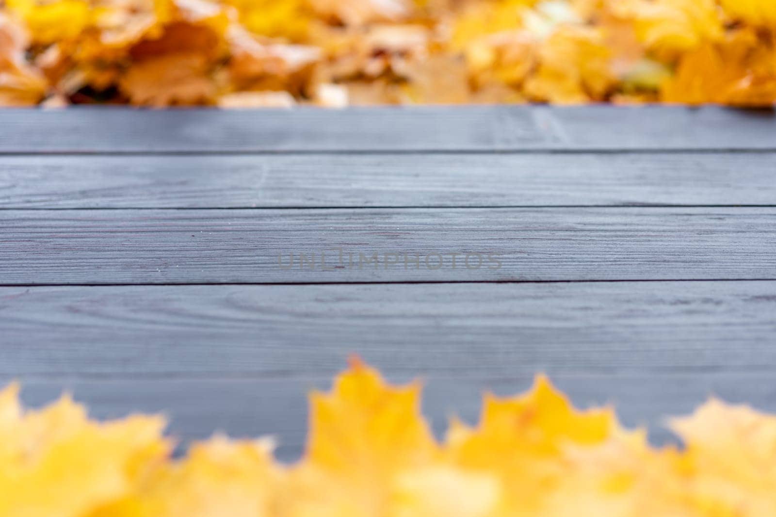 Empty wooden table nature bokeh background with autumn yellow maple leaf boarder Template mock up for display of product Copy space. Mock up for your design.