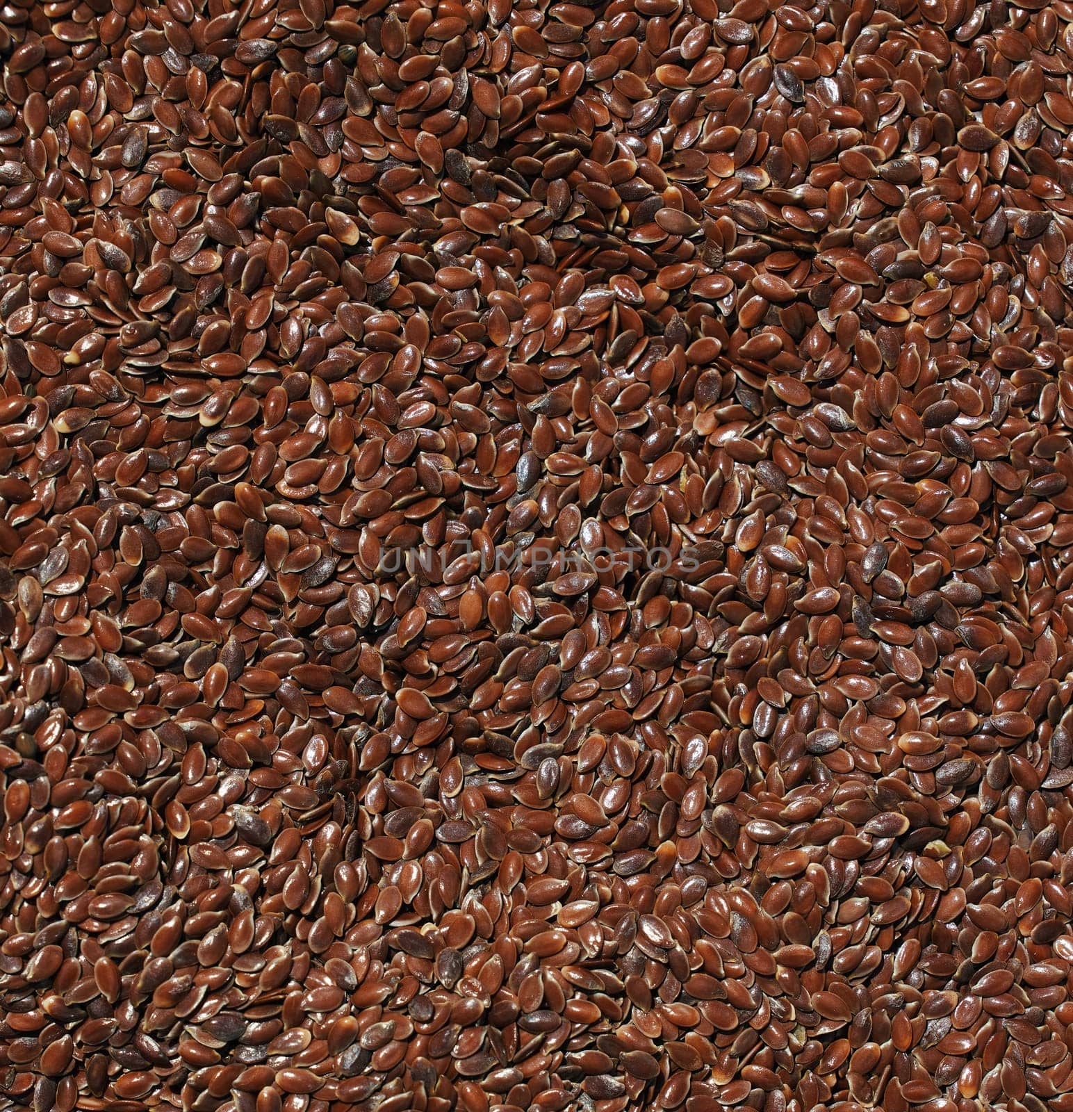 Flax seeds background. flaxseed or linseed agricultural background. Healthy food. A source of valuable vegetable oil. flax crop top view. Preparation of seeds for sowing by EvgeniyQW
