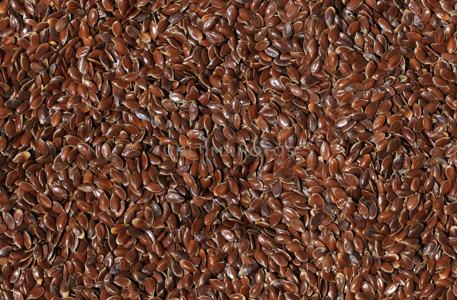 Flax seeds background. flaxseed or linseed agricultural background. Healthy food. A source of valuable vegetable oil. flax crop top view. Preparation of seeds for sowing.