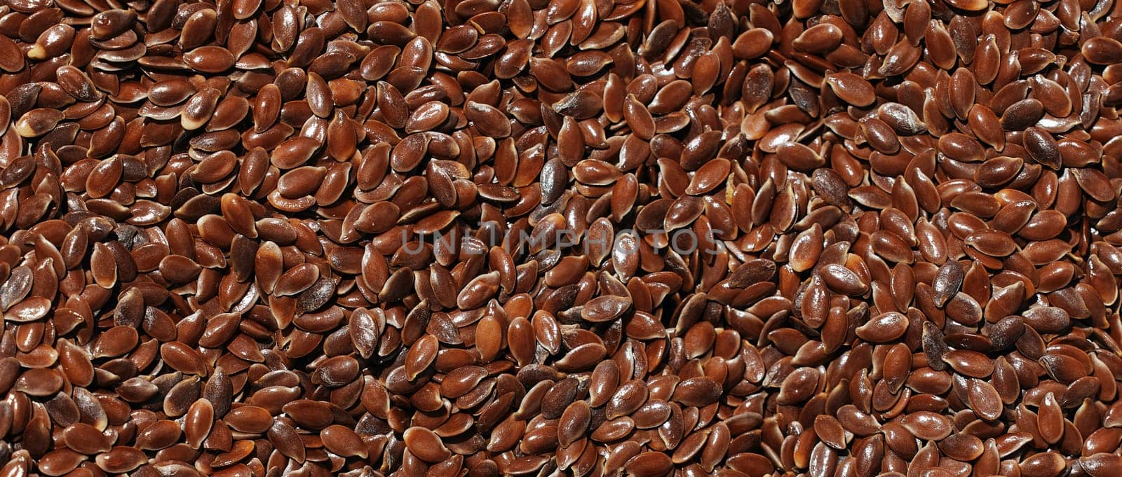 Flax seeds background. flaxseed or linseed agricultural background. Healthy food. A source of valuable vegetable oil. flax crop top view. Preparation of seeds for sowing by EvgeniyQW