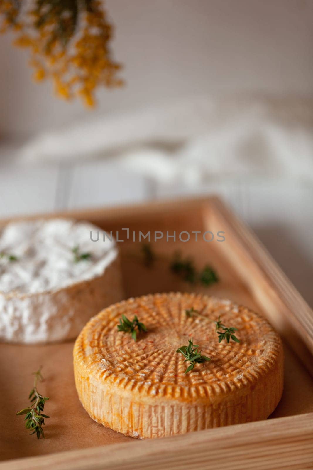 two cheese types decorated with thyme branches served on a wooden tray, side view, selective focus,