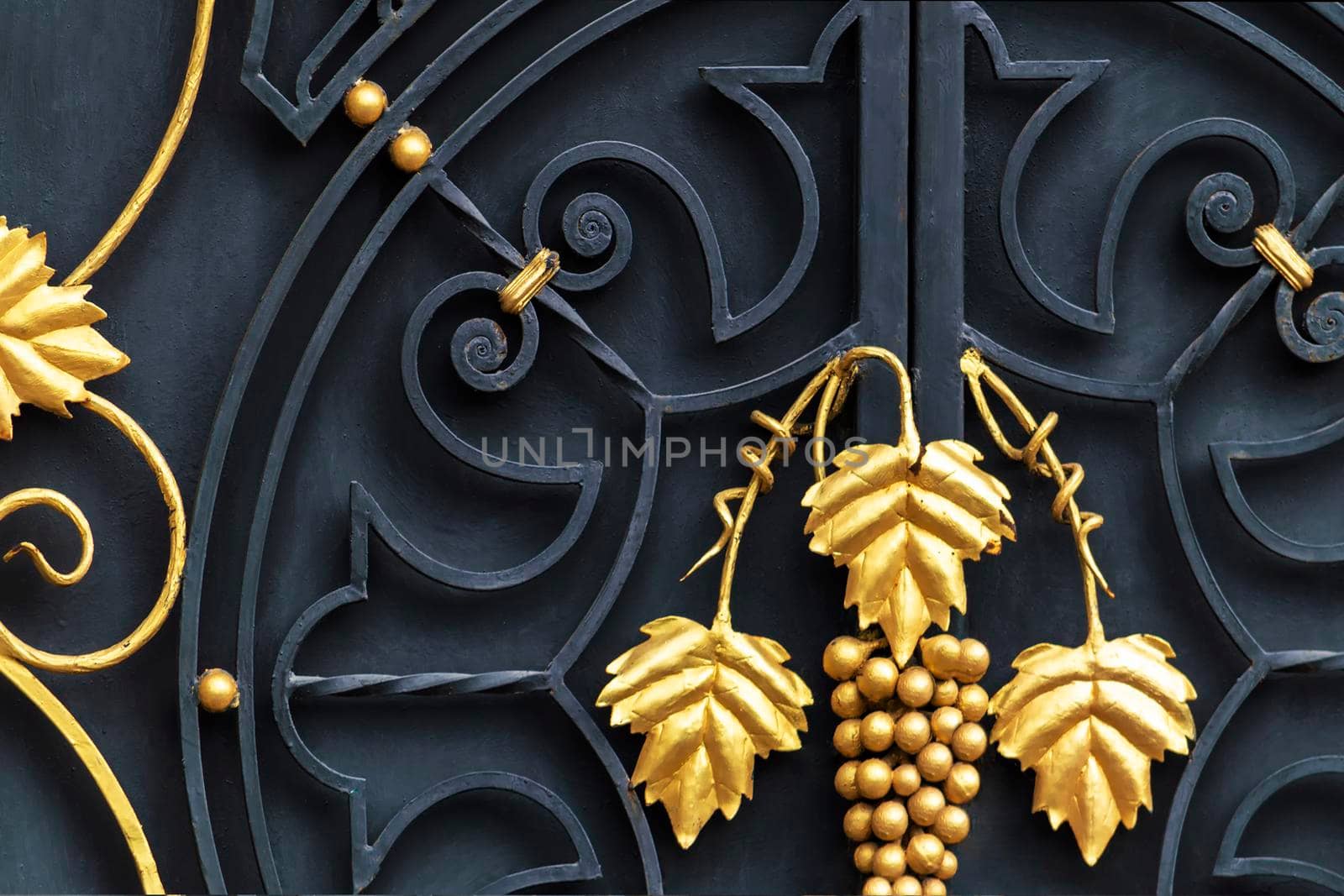 Decorative gilded elements of forged metal fence. by Essffes