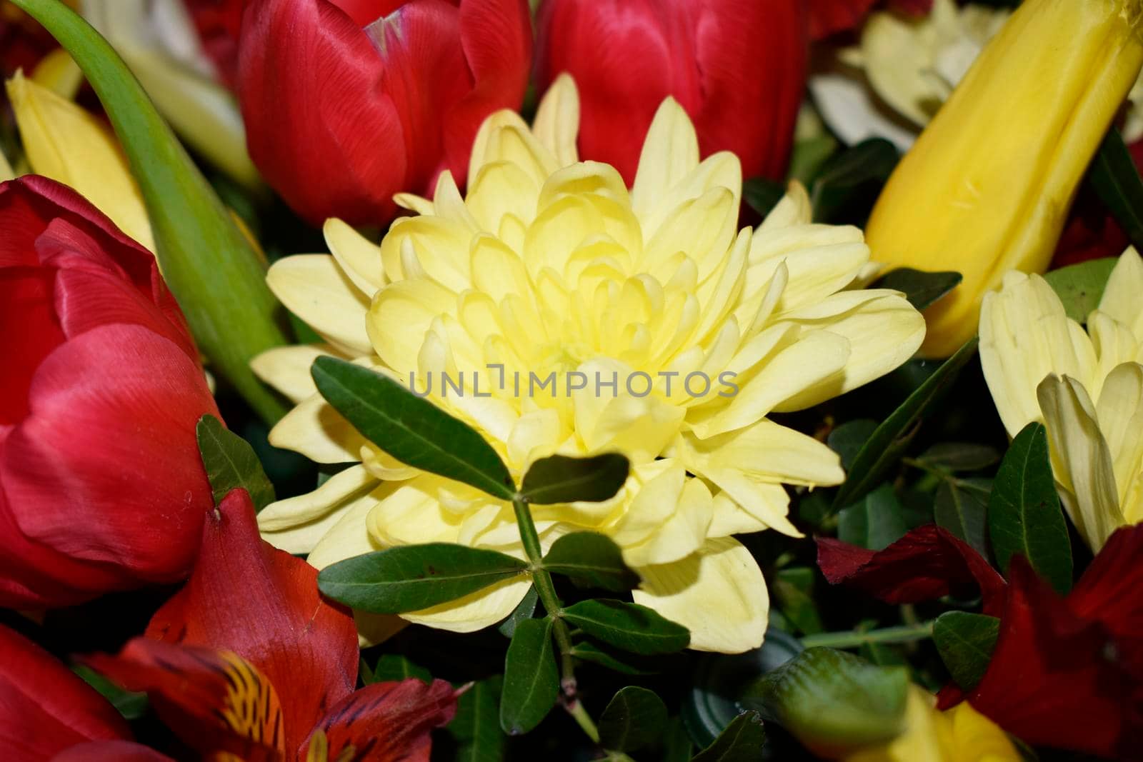 Bright bouquet of different flowers. Mixture of different colors of artificial carnations, for decoration