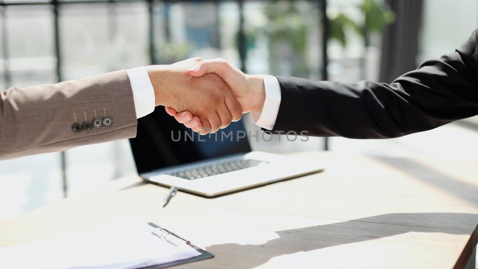 Successful business people handshaking after good deal.