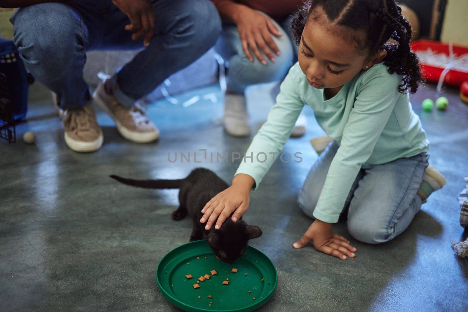 Child, girl or feeding kitten in pet shelter, adoption rescue or feline volunteer community clinic with health, wellness or development food. Kid, youth or animal care for cats in foster charity home.