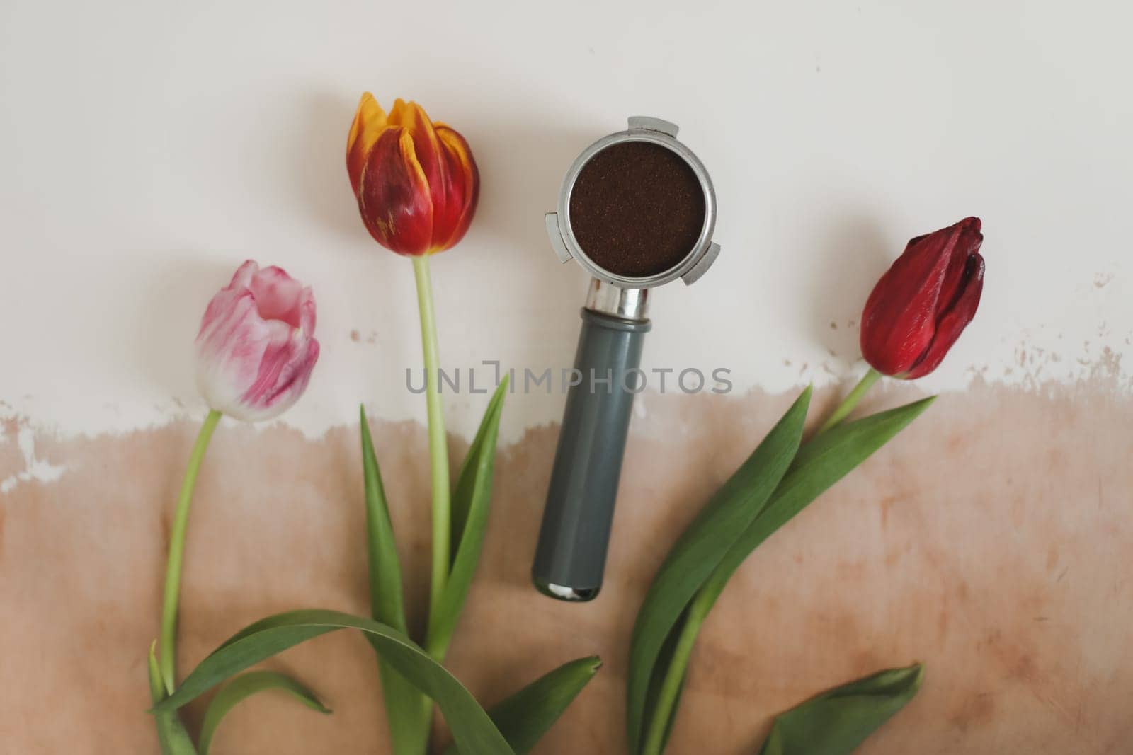 Decorative flat lay composition with coffee beans and flowers. Top view on white background.