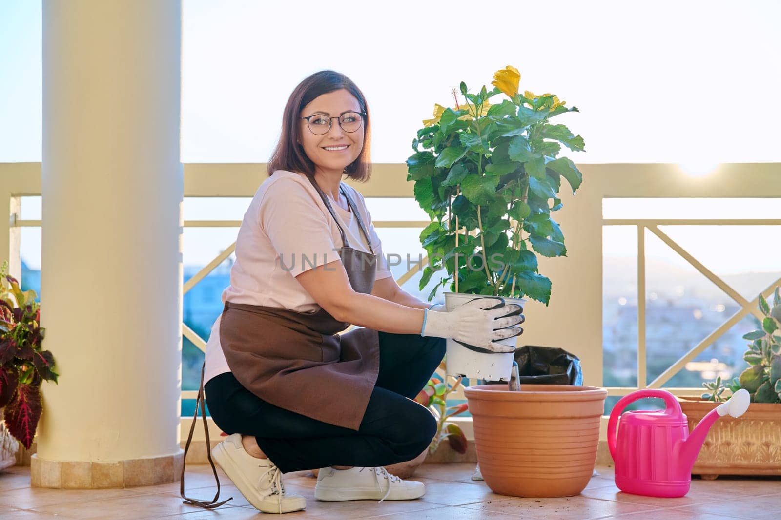 Woman planting caring for house plant in pot, on terrace. Female in gardening gloves holds pot of blooming hibiscus. Gardening, plants, lifestyle, botany, leisure, green trends concept