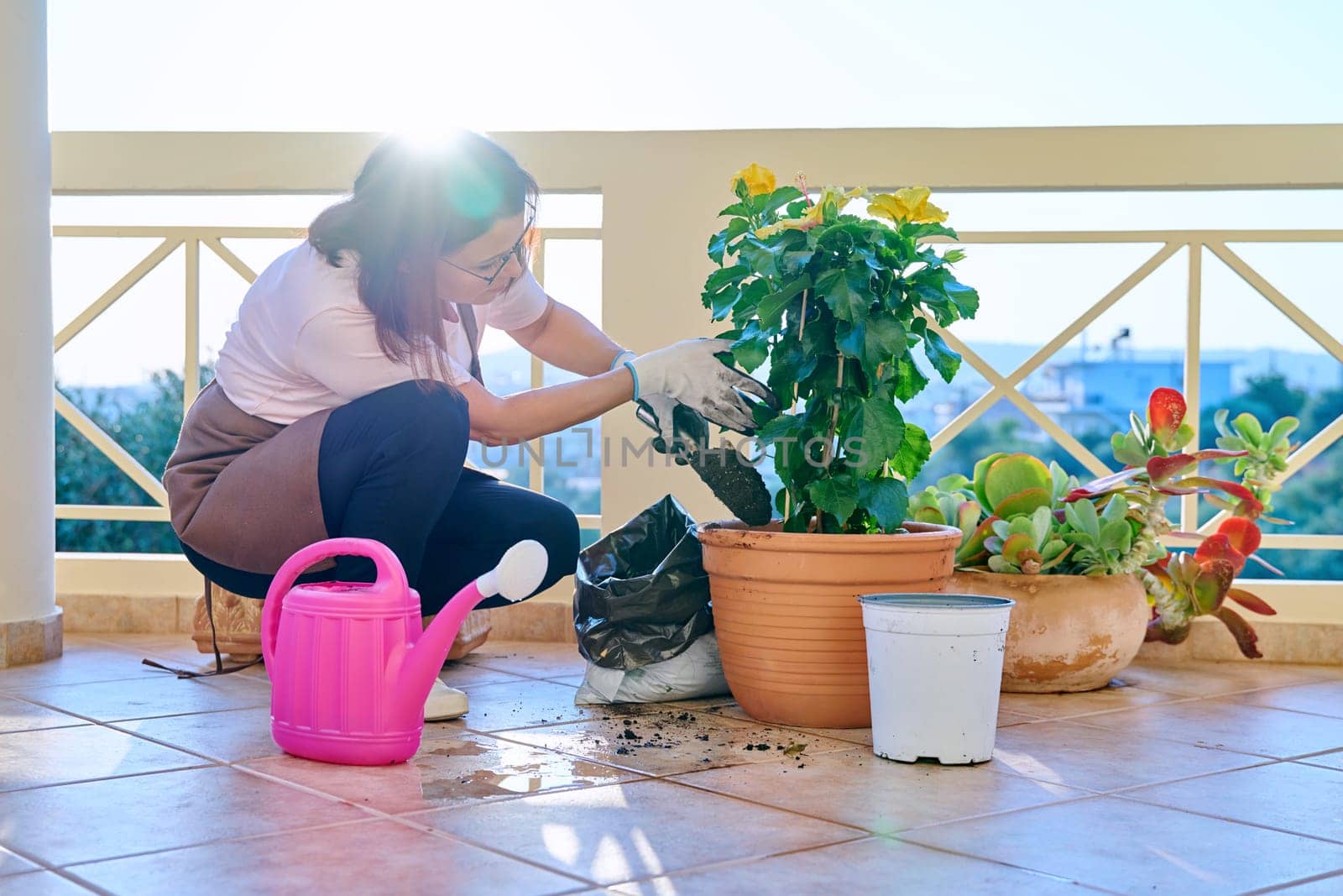 Woman planting caring for house plant in pot, on terrace. Female in gardening gloves holds pot of blooming hibiscus. Gardening, plants, lifestyle, botany, leisure, green trends concept