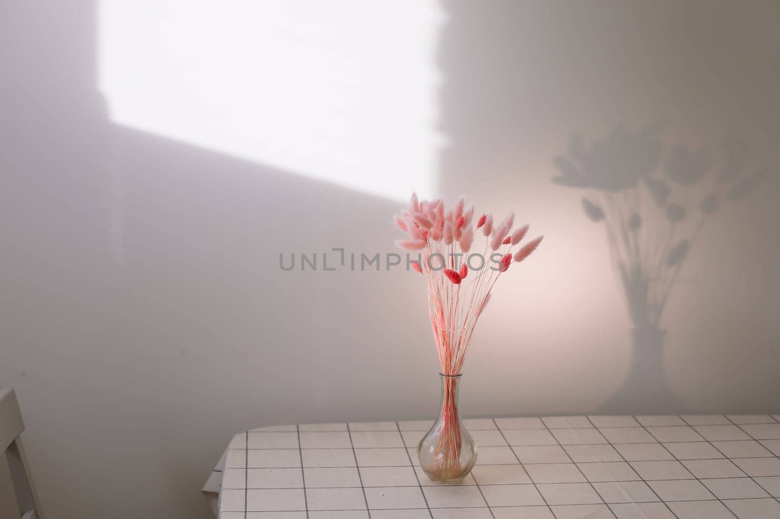 Still life of pink dry lagurus flowers on white background with copy space