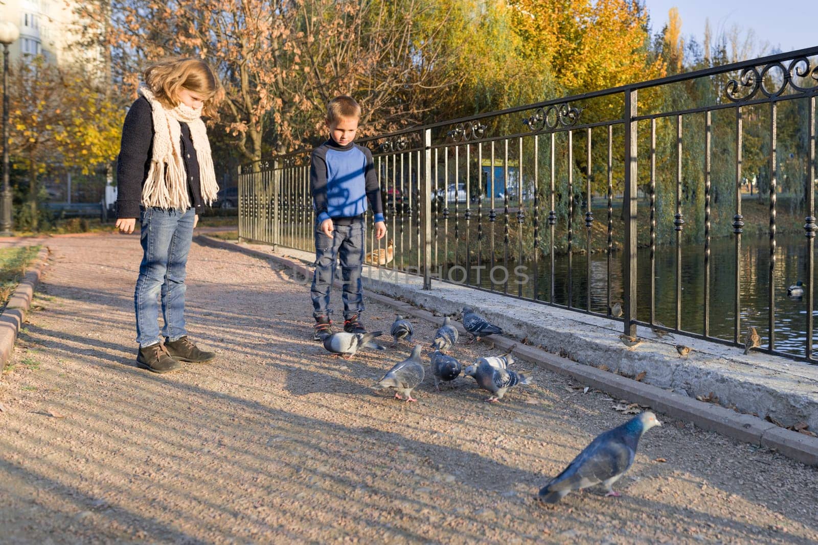 Children boy and girl feeding pigeons in autumn park by VH-studio