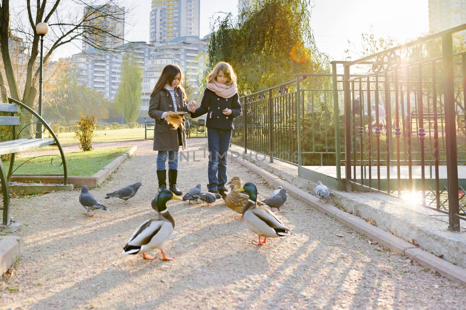 Two little girls feed birds ducks and pigeons in sunny autumn park, golden hour