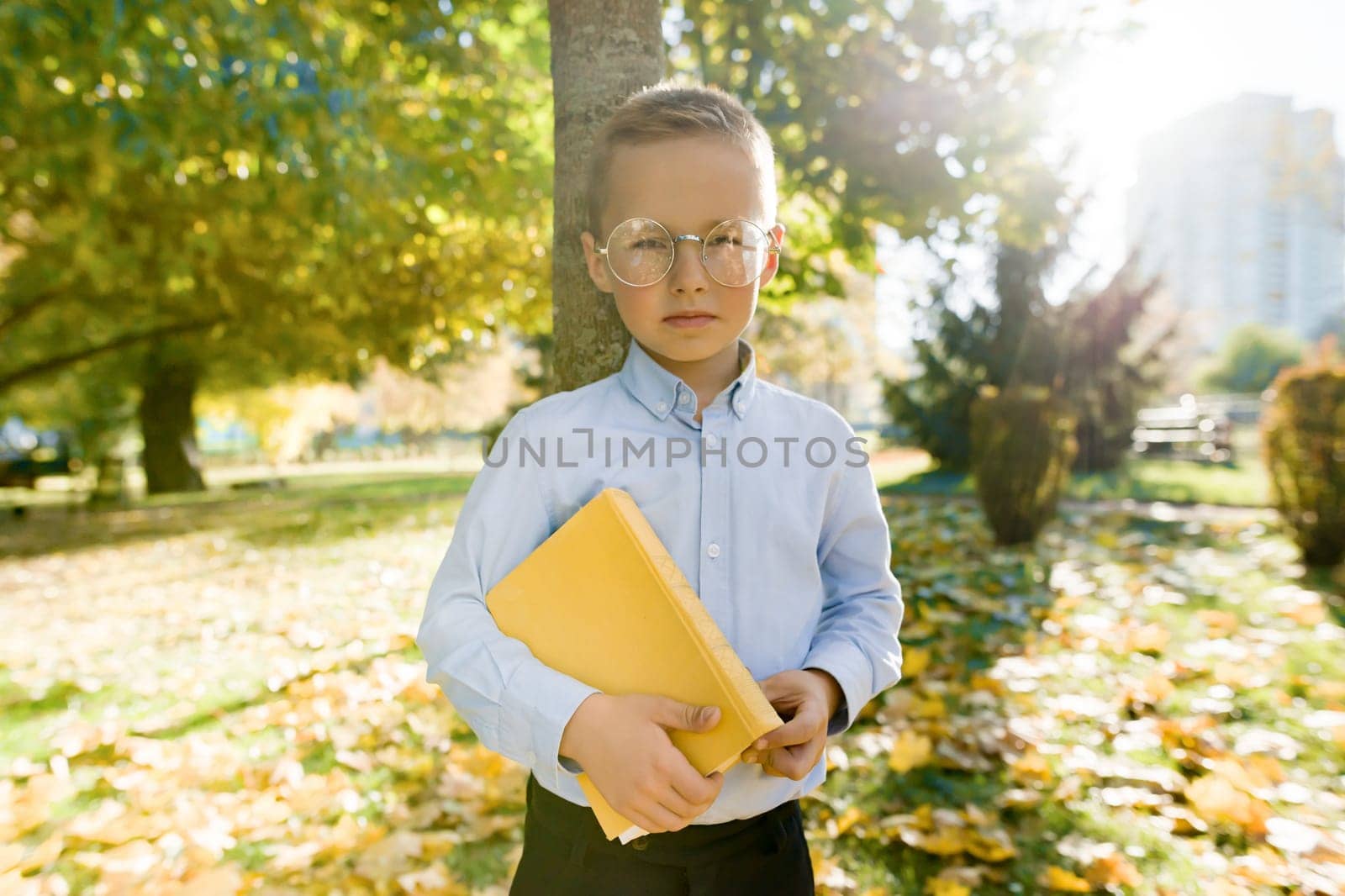 Little boy 6, 7 years old in glasses with book in autumn sunny park, golden hour.