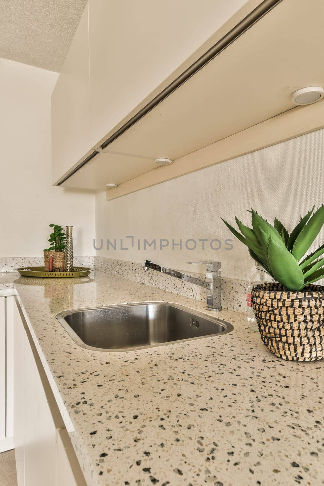 a kitchen sink with a plant on the counter top by casamedia