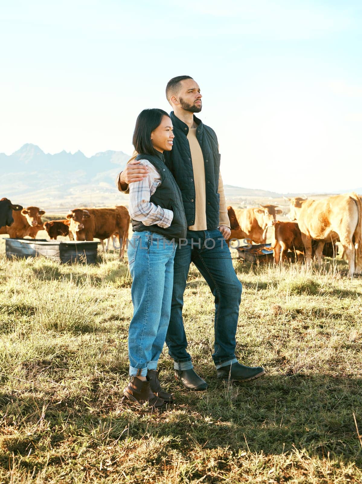 Couple, farm and hug in countryside travel, trip or holiday destination with live stock in natural agriculture. Man holding woman in relationship, traveling or enjoying getaway in nature with animals.