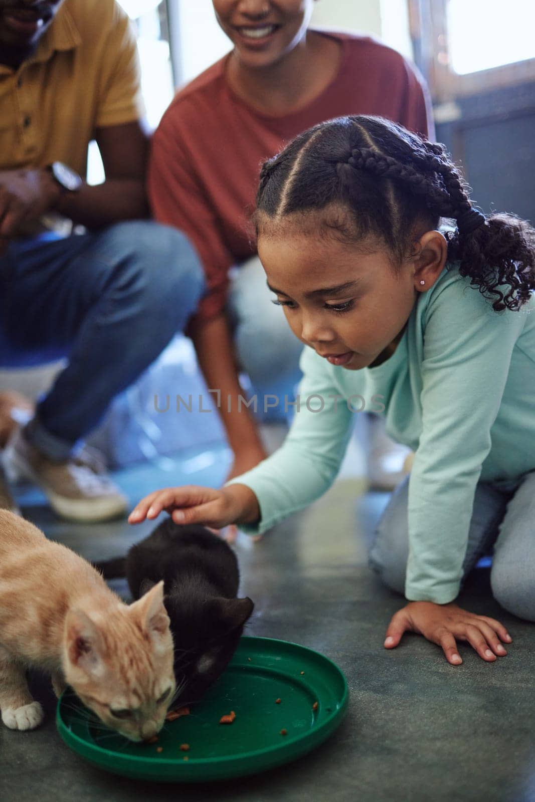 Child, cats and care while eating food for nutrition for health and wellness, family at animal shelter for charity and volunteer work for rescue animals. Girl showing love and support petting cat.