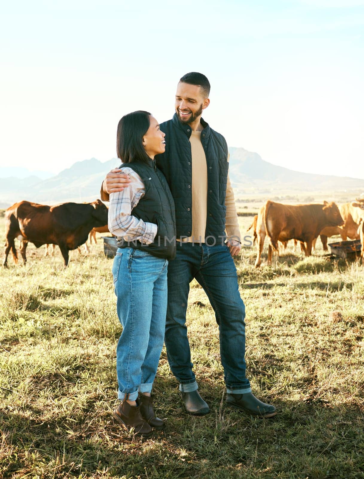 Nature, summer and couple in field with cows, happy dairy farmer on grass with animals. Sustainability, farming and man with woman and smile at animal farm, happiness and grazing livestock in summer