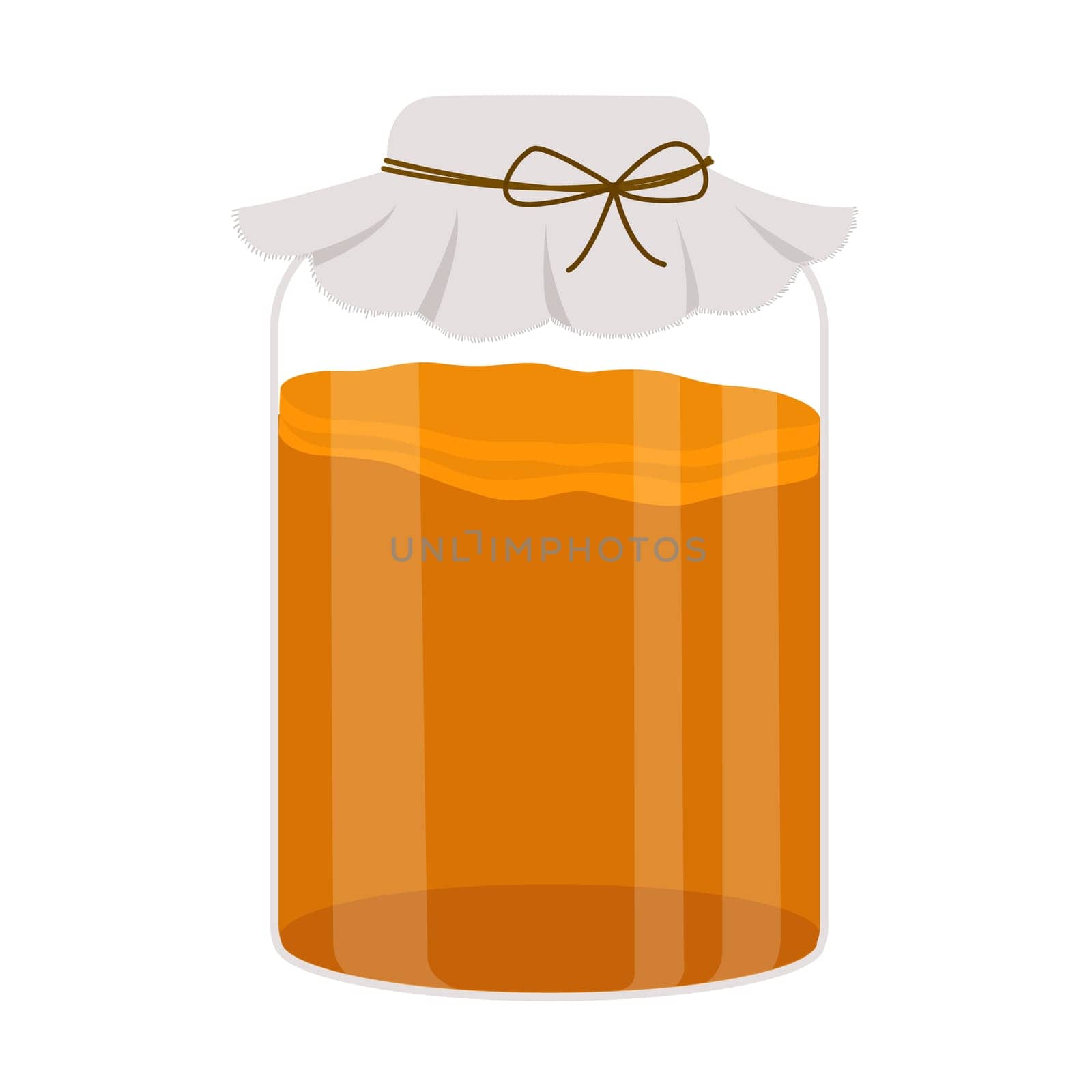 Kombucha tea in glass jar. Homemade fermented probiotic non-alcohol beverage. Vector illustration in flat style by Ablohina