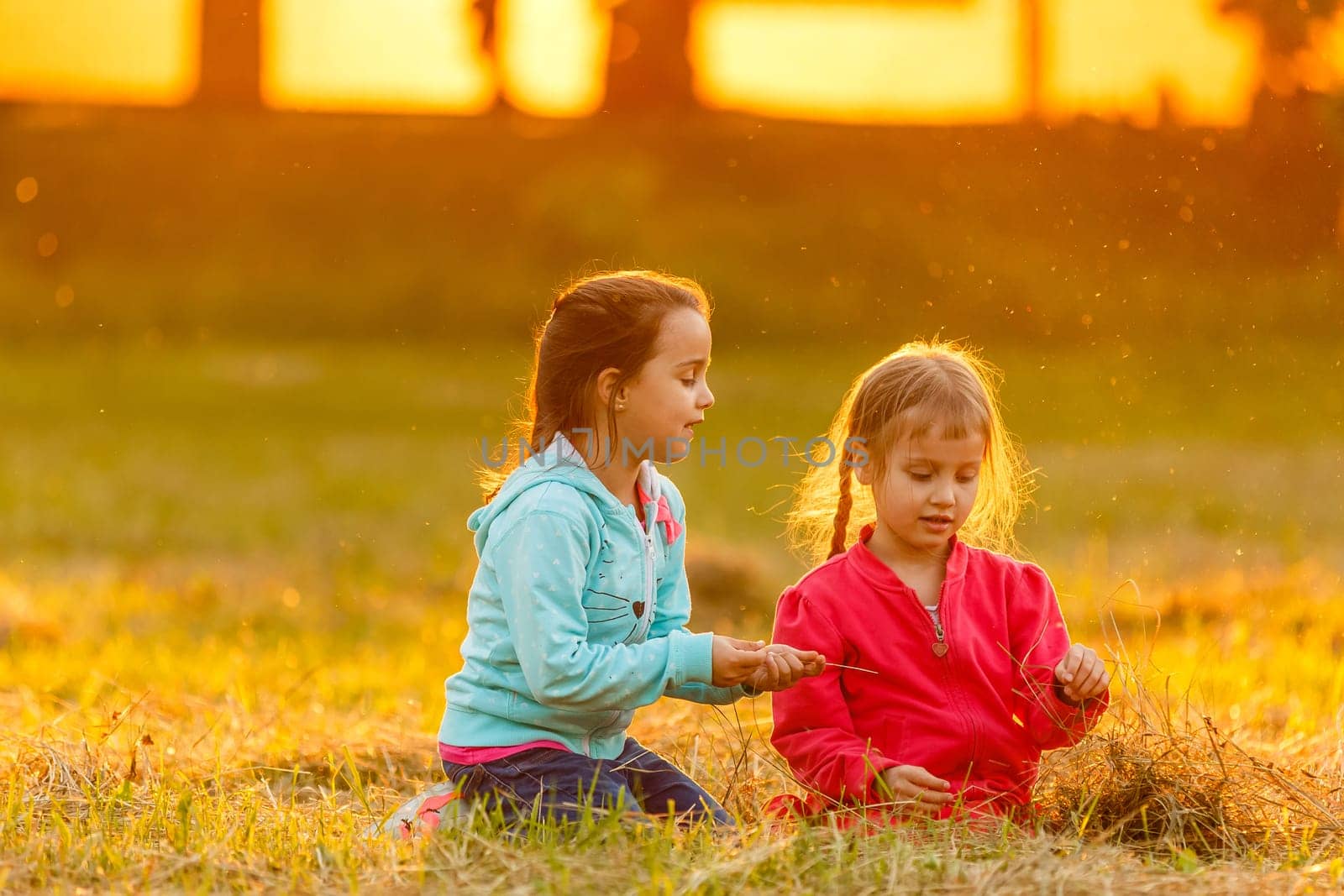 two little girls walking in the field