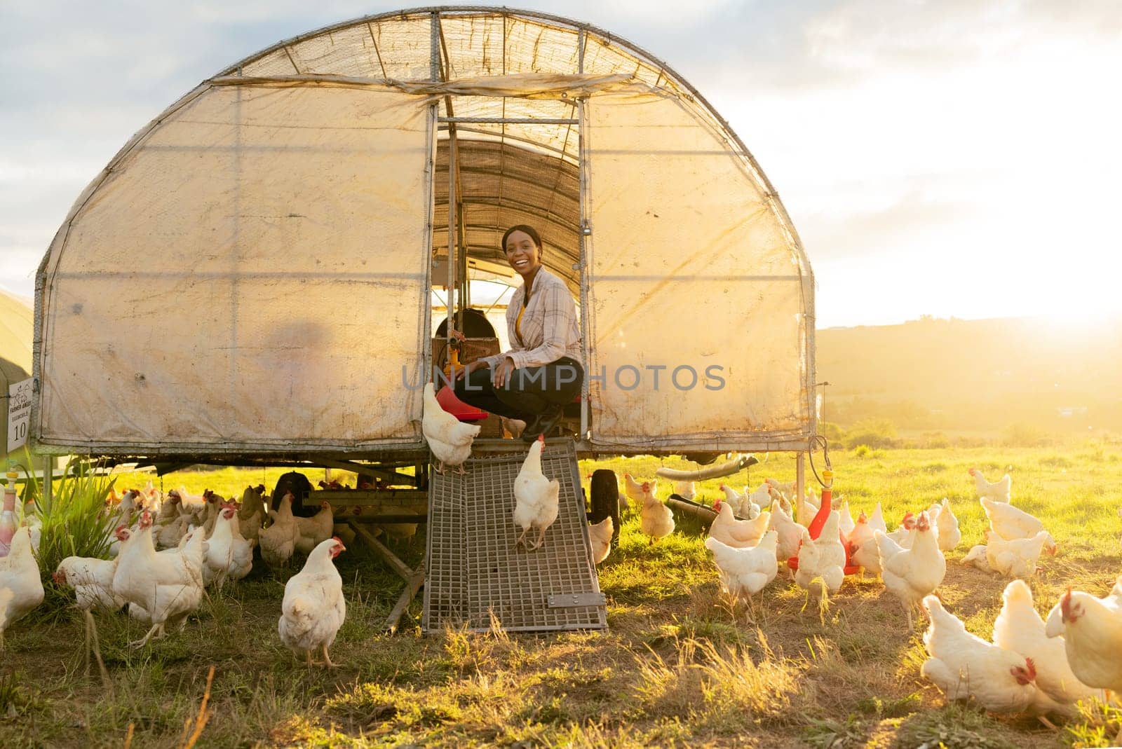 Poultry farm, black woman and chicken coop for sustainable farming outdoor on a field for meat, food and free range eggs. Farmer with animals to care and feed livestock on a sustainable ranch by YuriArcurs