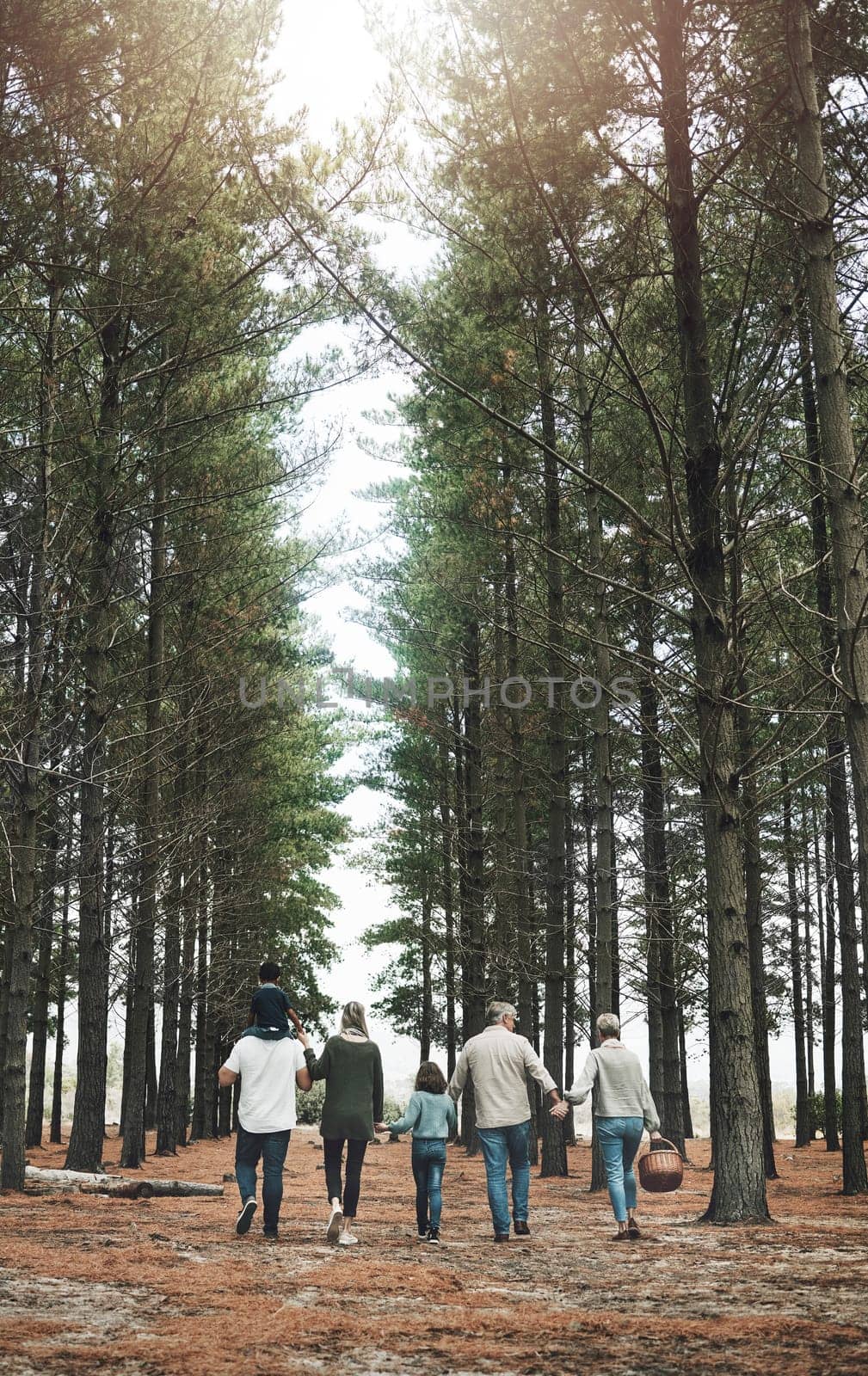 Nature walk, family and park, outdoor and together bonding with trees and spending quality time on picnic. Grandparents, parents and children, walking in forest and big family love and holding hands