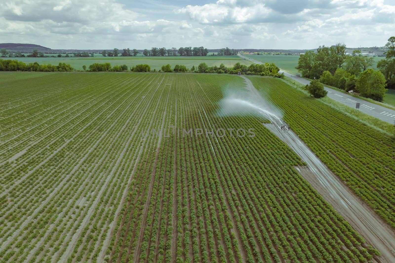 Plantation with potatoes is watered. Modern irrigation. Protection of potatoes from drought.