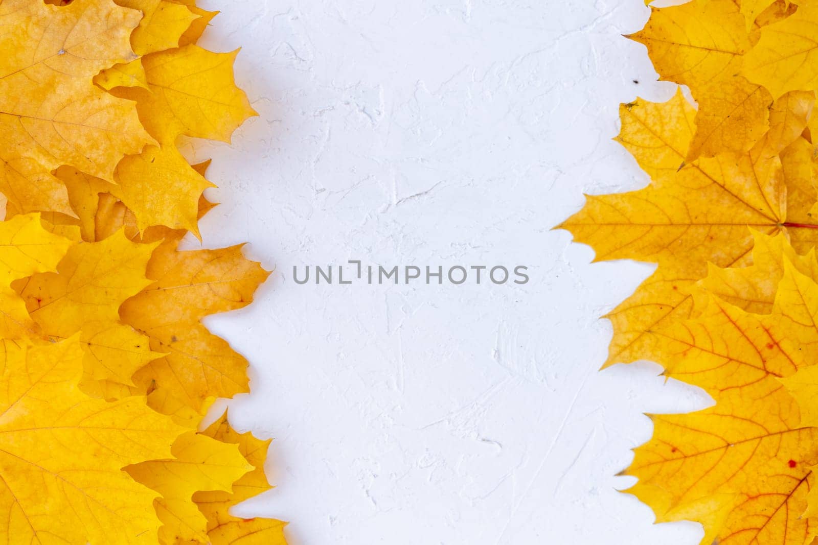 Autumn leaves frame left right side white structured background top view Fall Border yellow and Orange Leaves vintage background table Copy space. Mock up for your design. Display for product or text
