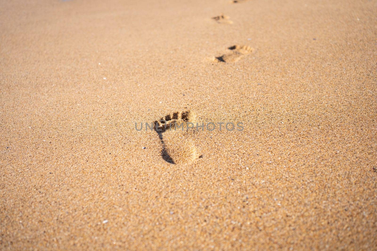 Footprints On Ocean Sandy Beach by andreonegin