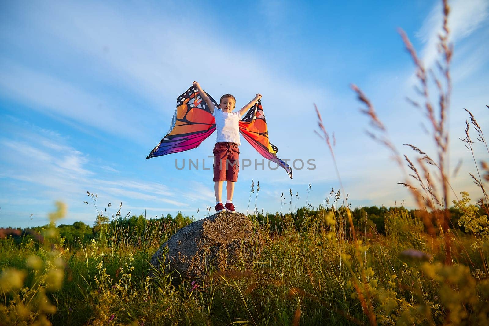 Handsome boy with bright butterfly wings having fun in meadow on natural landscape with grass and flowers on sunny summer day. Portrait of a teenage guy in spring season outdoors on field by keleny