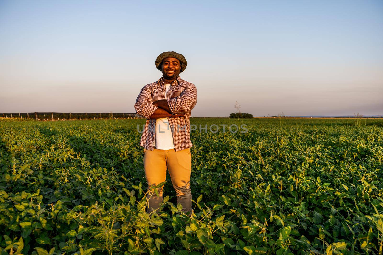 Farmer is standing in his growing soybean field. He is satisfied because of good progress of plants.