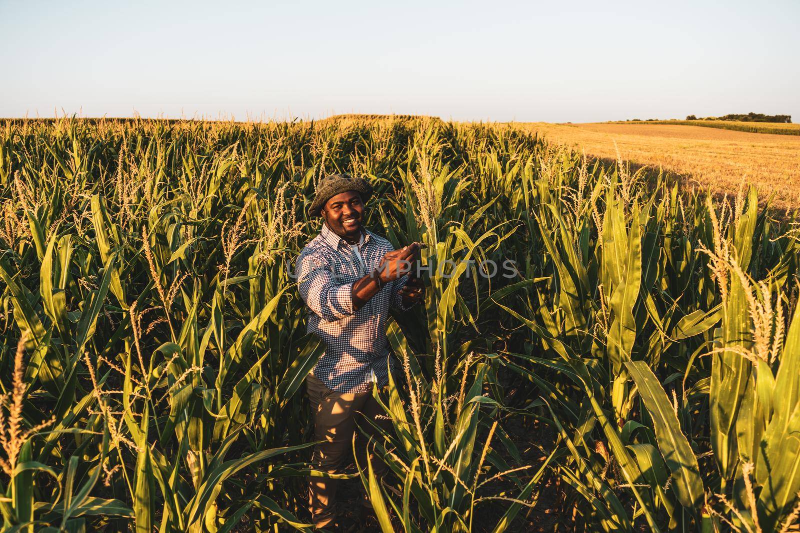 Farmer by djoronimo