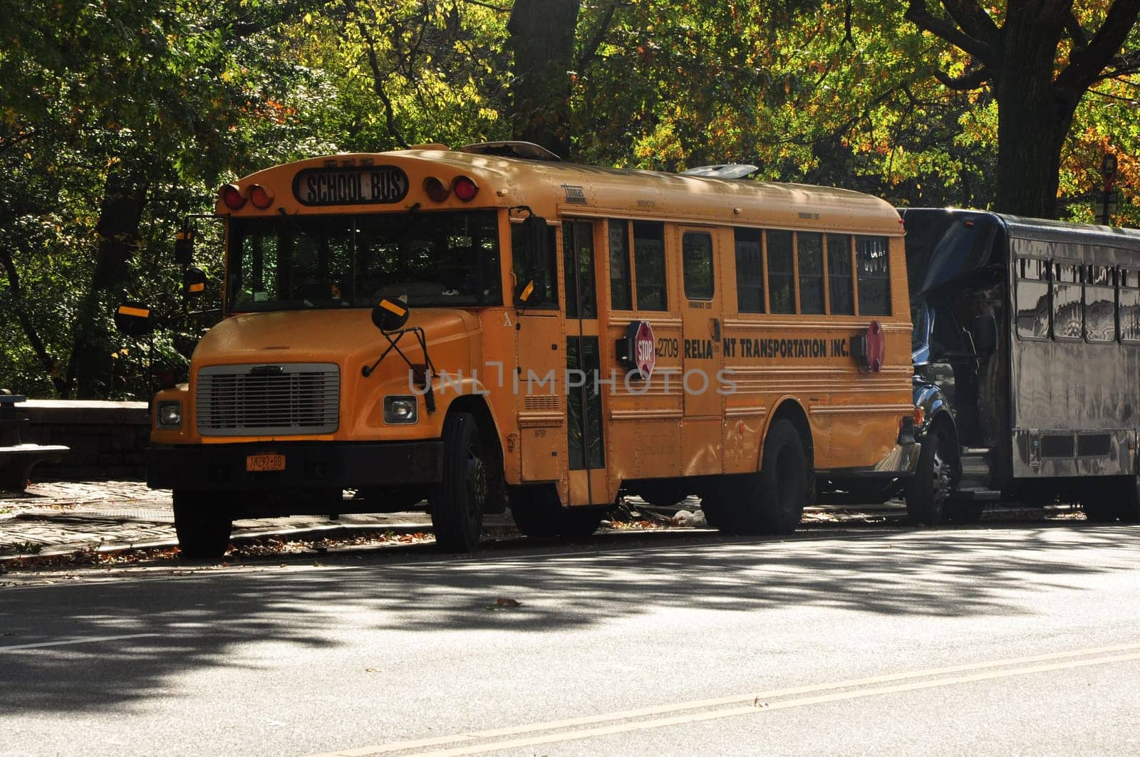 Old yellow American school bus on a street in New York on a sunny day