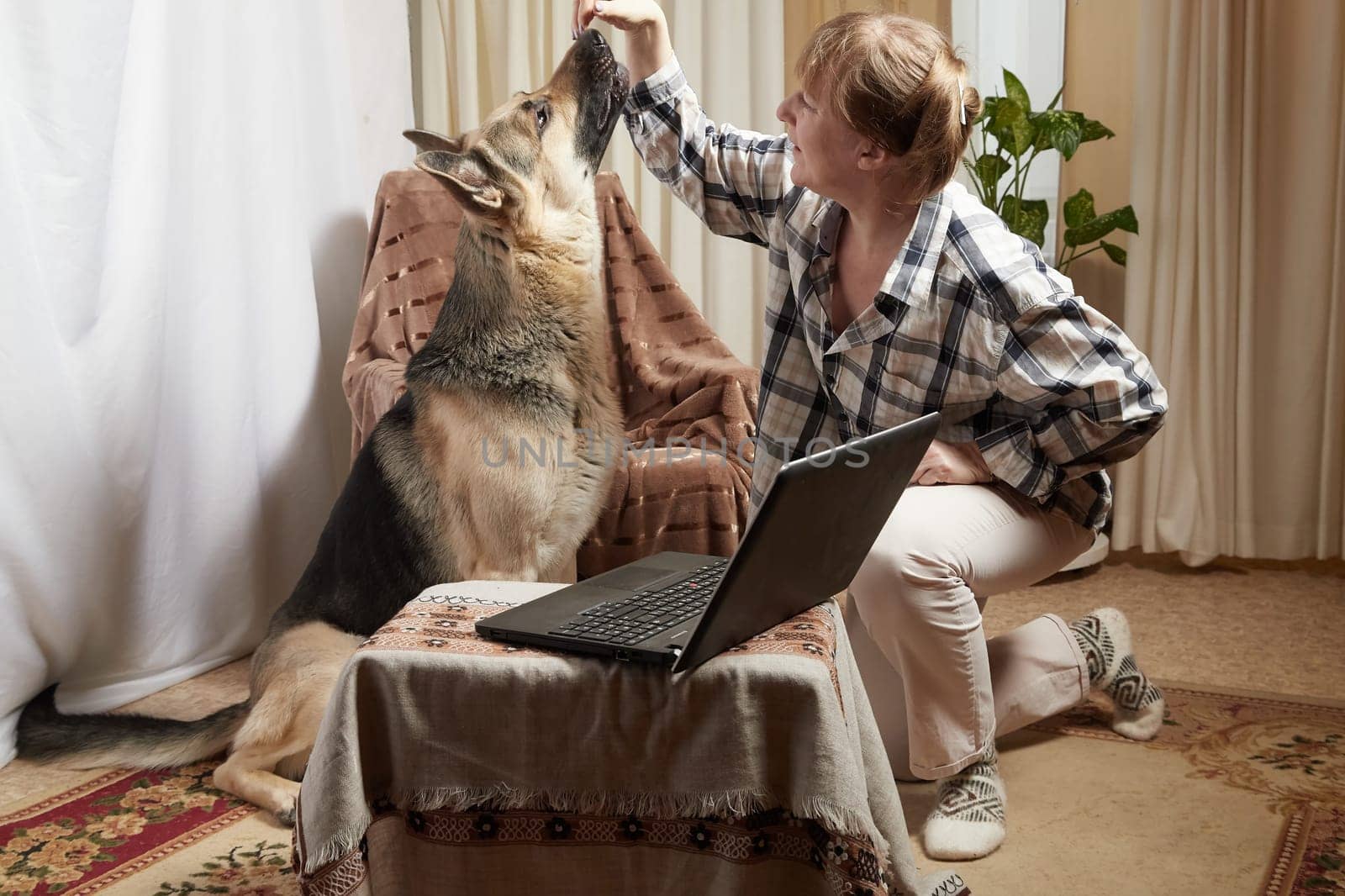 Woman and shepherd dog with netbook in living room. Portrait of a pet and a girl with laptop having fun and joy. Partial focus