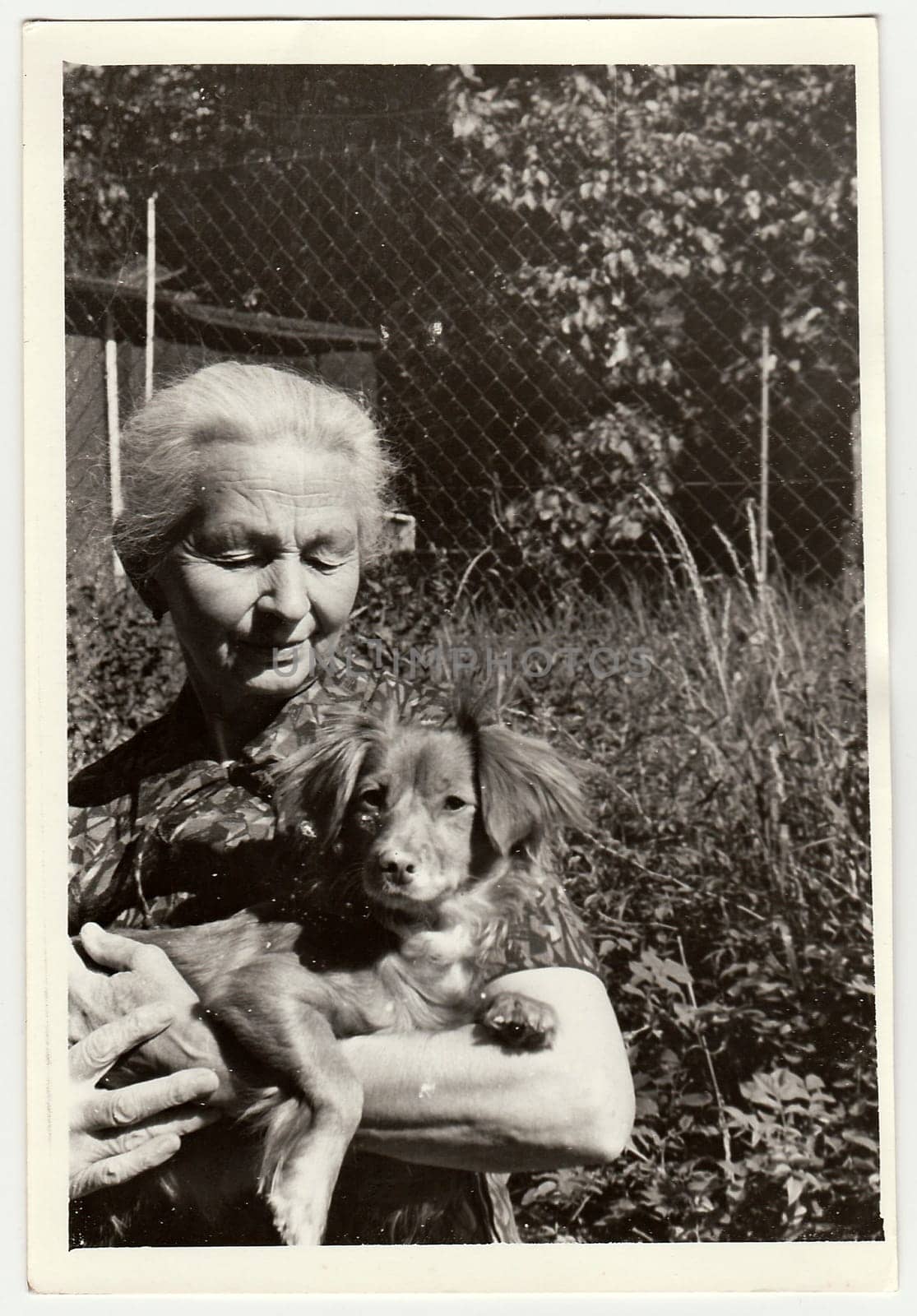 USSR - CIRCA 1980s: Vintage photo shows old woman cradles dog (dachshund).