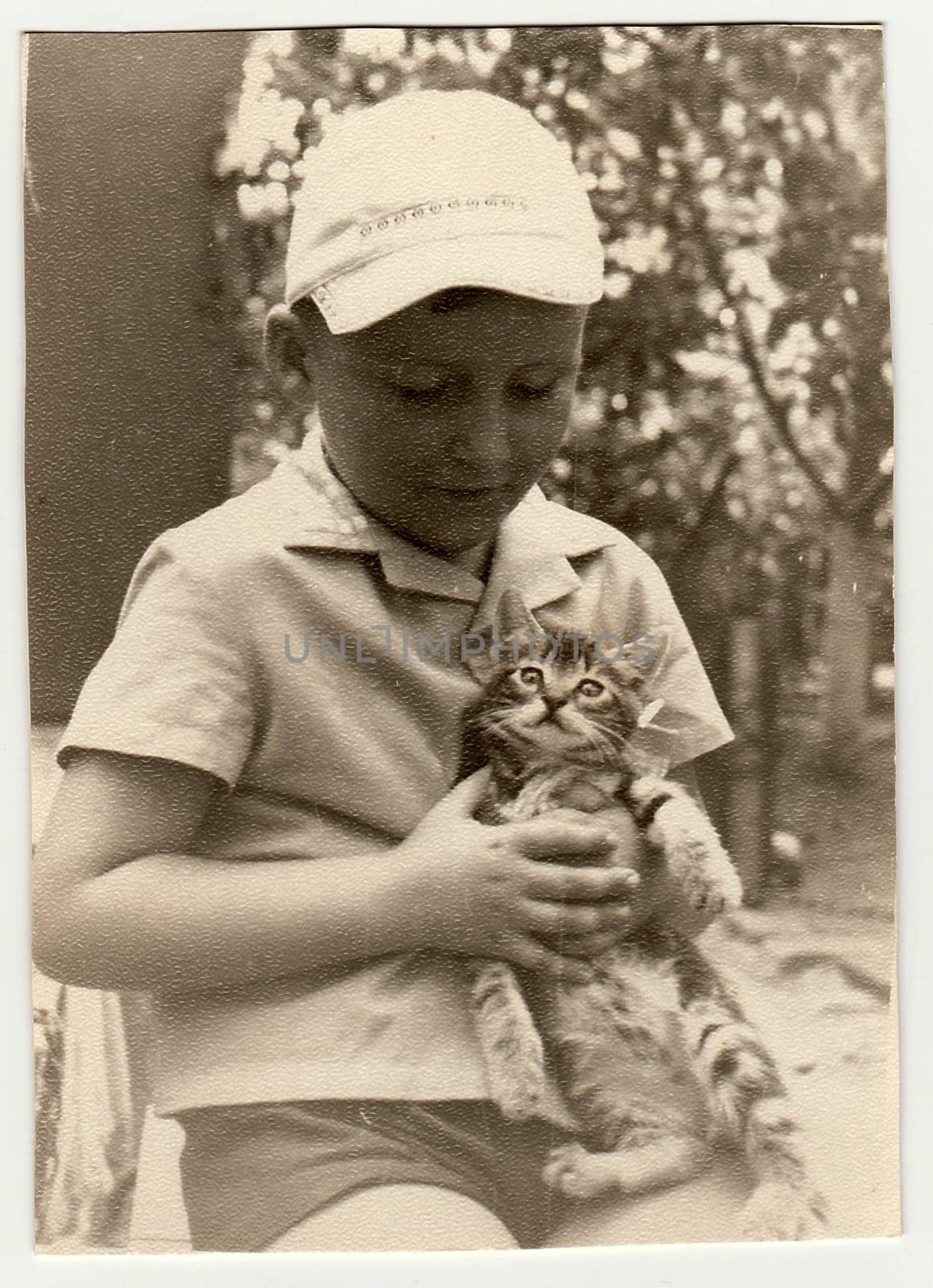 USSR - 1969: Vintage photo shows boy strokes cat.