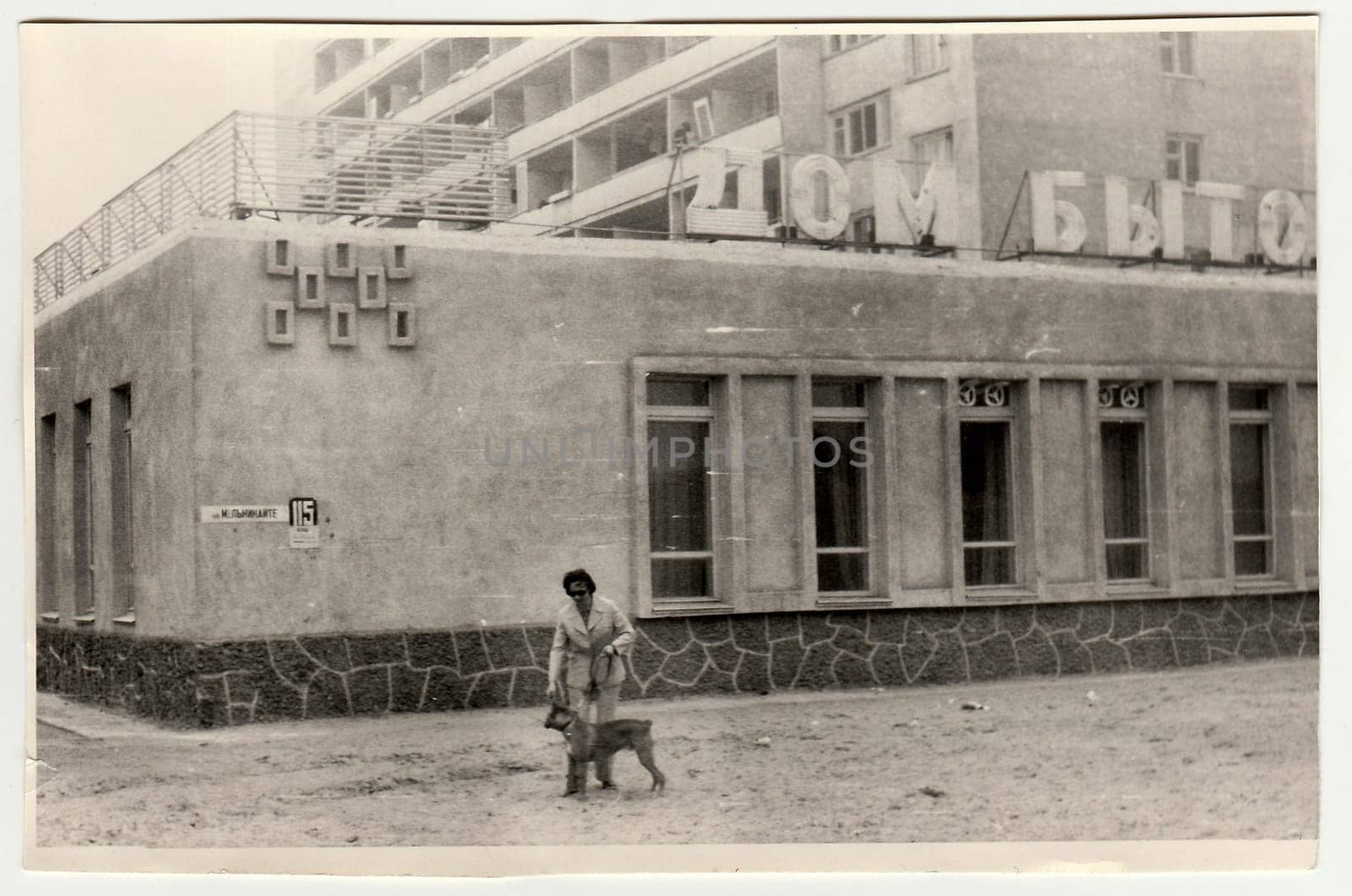 Vintage photo shows woman walks the dog. by roman_nerud