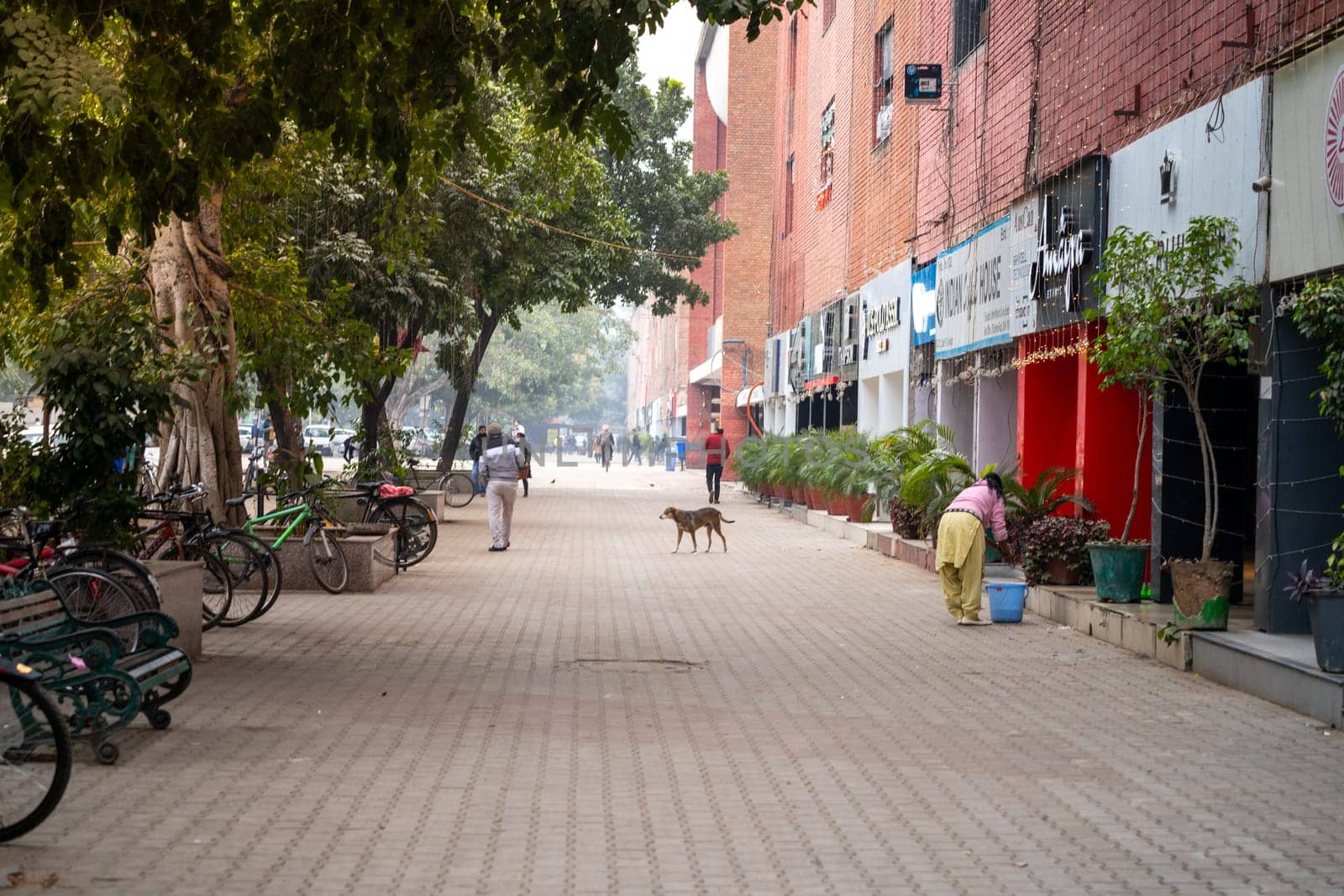 Chandigarh, India - circa 2023 : early morning scenes in sector 17 market chandigarh showing people shopping, cycles parked and cleaning happening in front of branded shops and food outlets in this landmark area