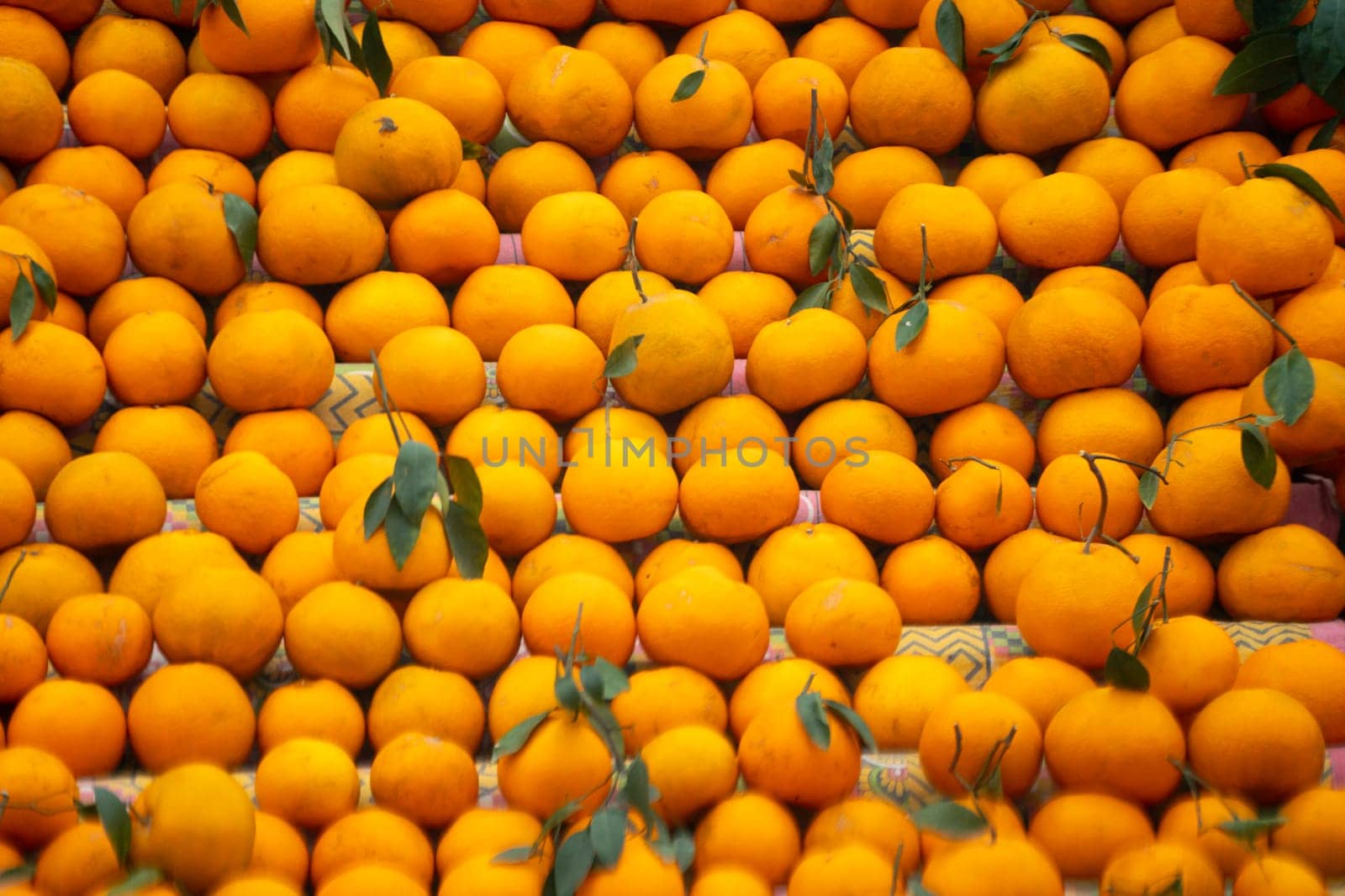 oranges kinnu citrus fruit piled up at a roadside stall showing how farmers traditionally sell this local fruit in India for eating and juice as a healthy item in summer months by Shalinimathur