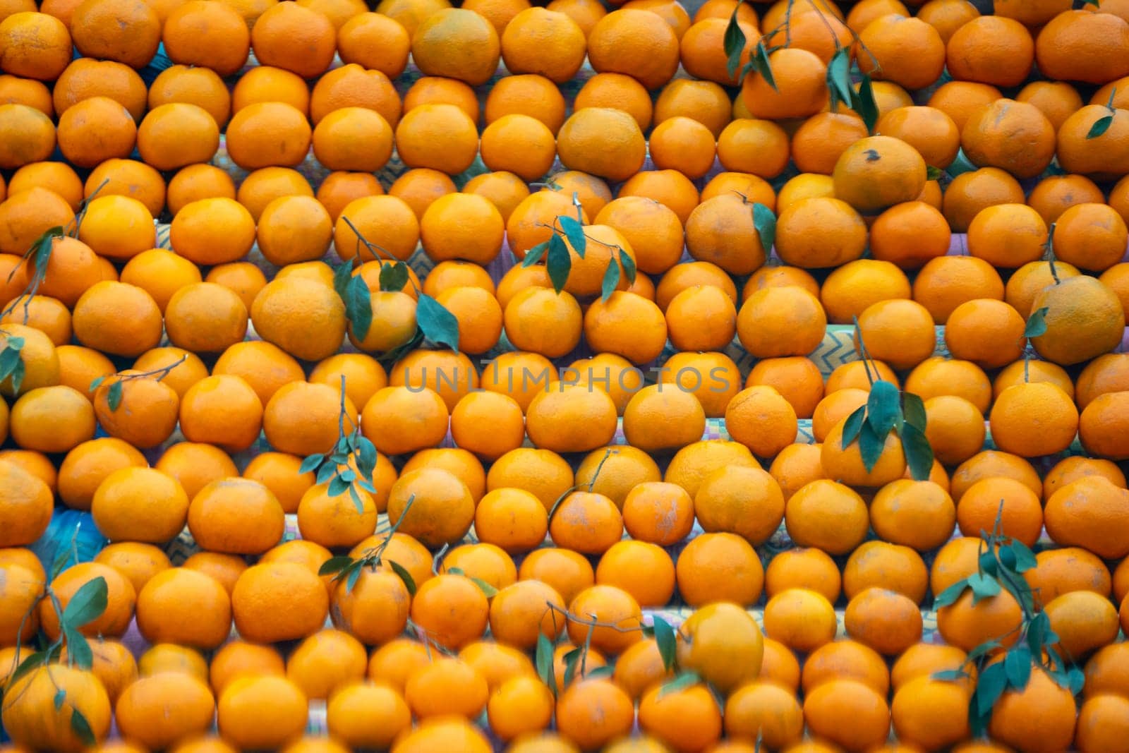 oranges kinnu citrus fruit piled up at a roadside stall showing how farmers traditionally sell this local fruit in India for eating and juice as a healthy item in summer months by Shalinimathur