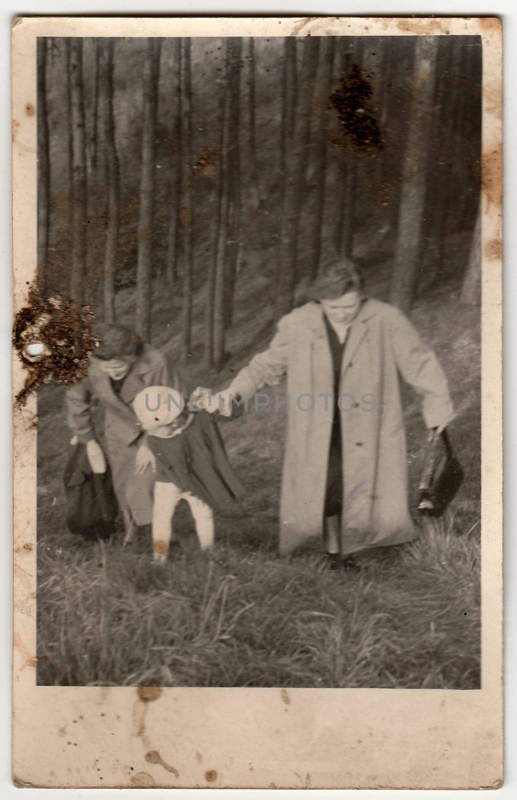 Vintage photo shows women and girl go for a walk in forest. Photo has dirt as it has been found in loft. by roman_nerud