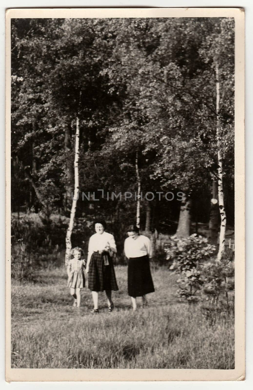 An antique Black & White photo shows women and girl go for a walk in forest. by roman_nerud