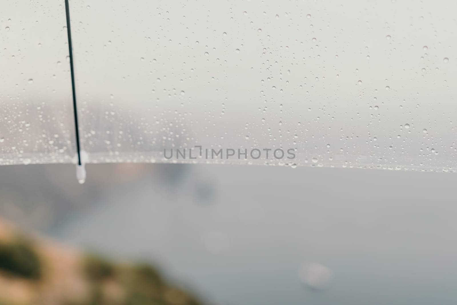 Woman rain umbrella. Happy woman portrait wearing a raincoat with transparent umbrella outdoors on rainy day in park near sea. Girl on the nature on rainy overcast day. by panophotograph