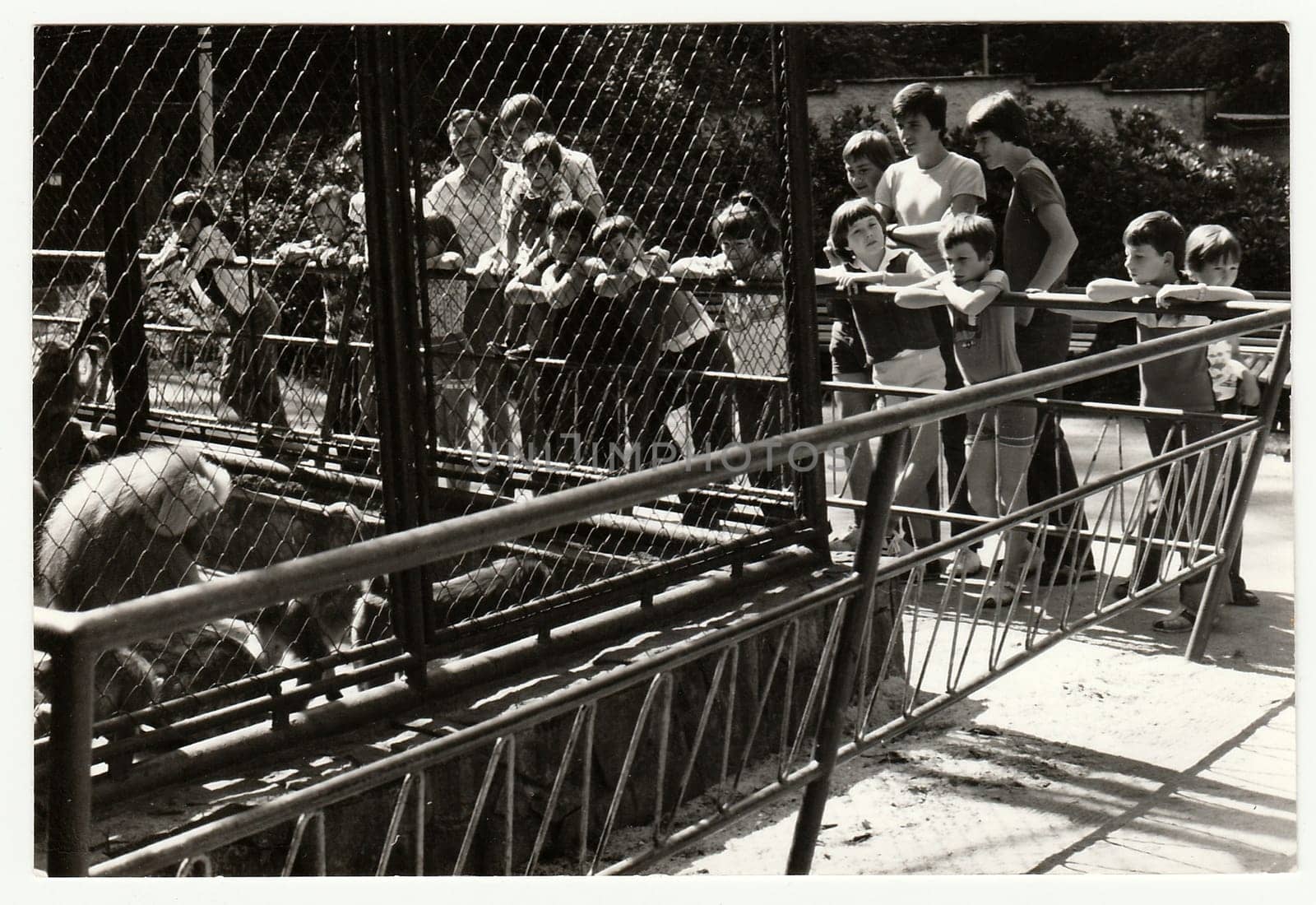 Vintage photo shows people visit ZOO. by roman_nerud