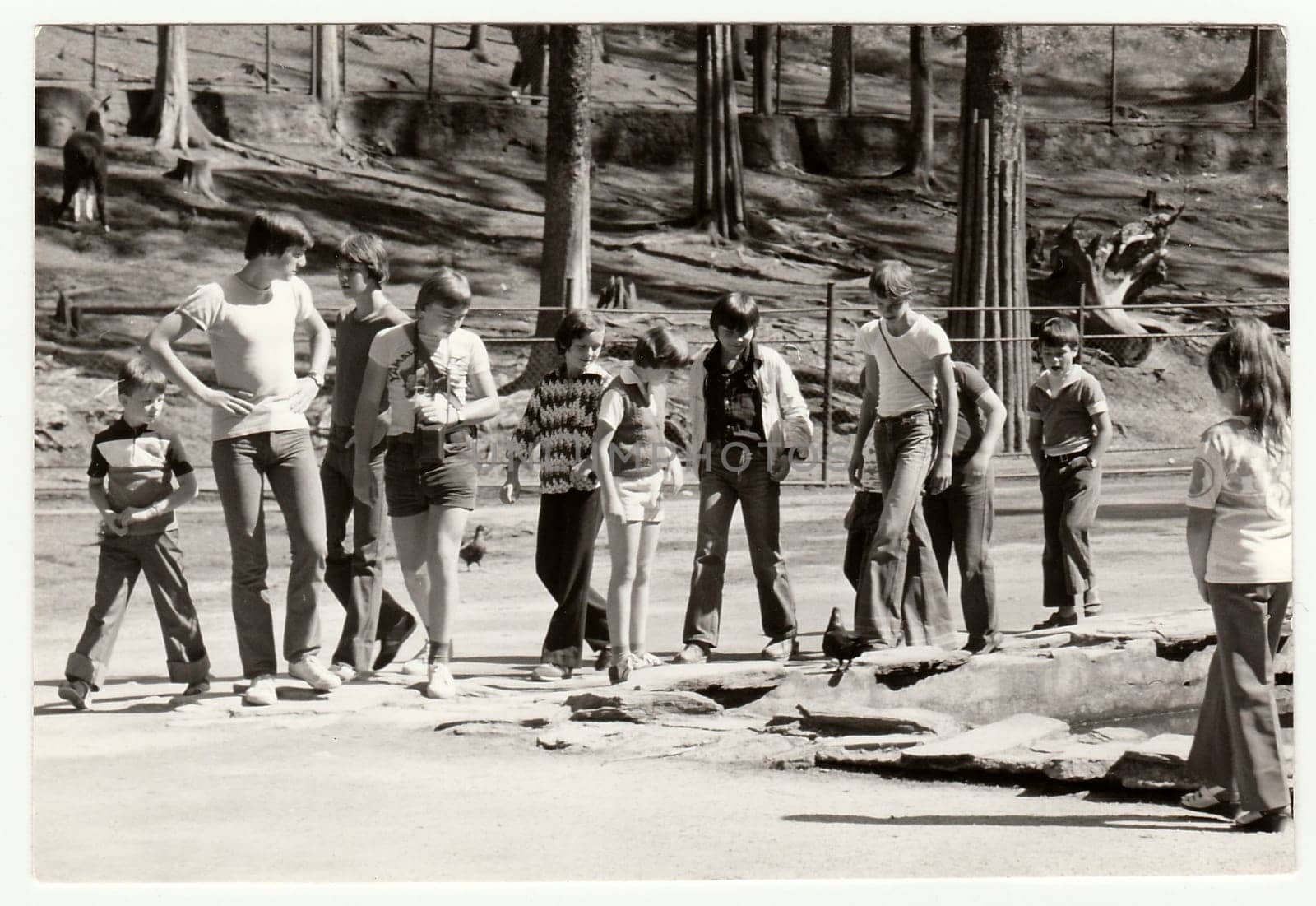 Vintage photo shows people visit ZOO. by roman_nerud