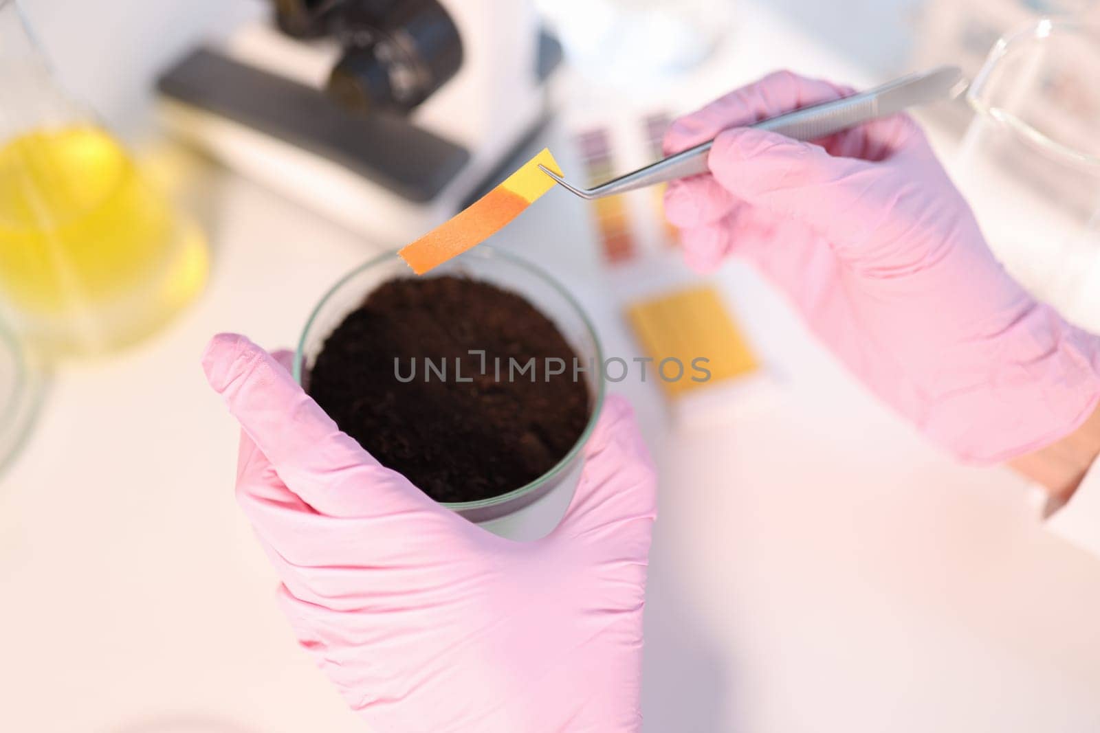 Laboratory analysis of soil contamination and test strip. Scientist measures pH of soil sample using litmus strips concept