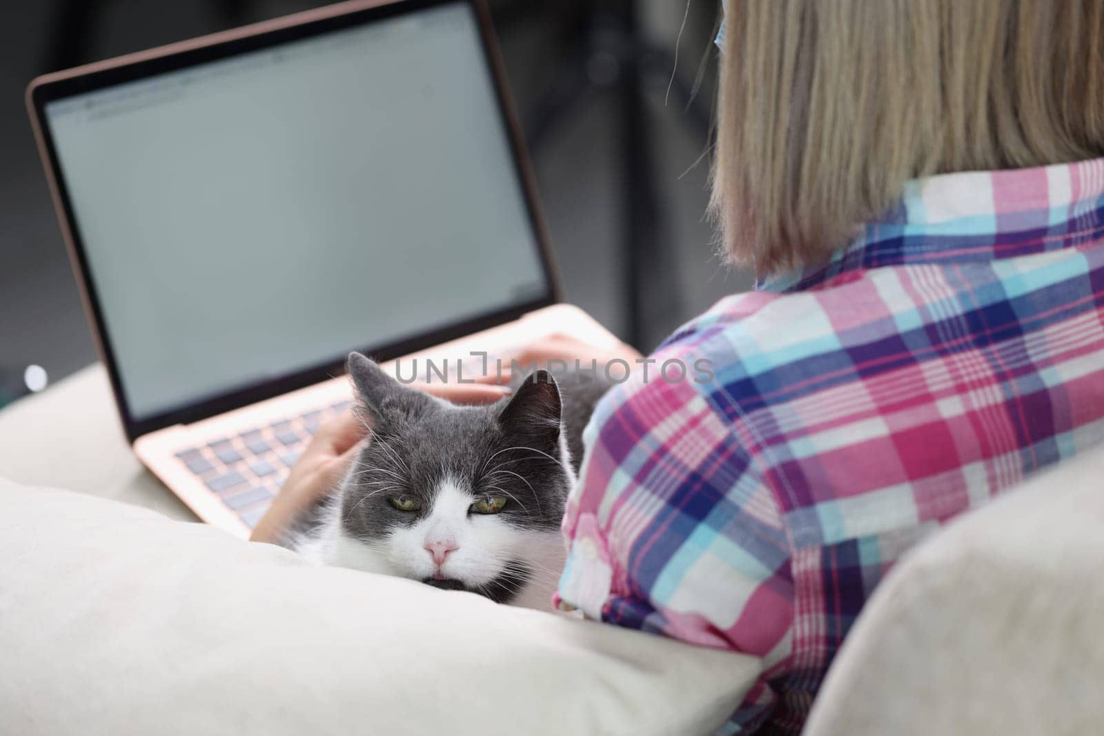 Woman is working on laptop with cat on couch. Freelance remote work or home surfing Internet with pets