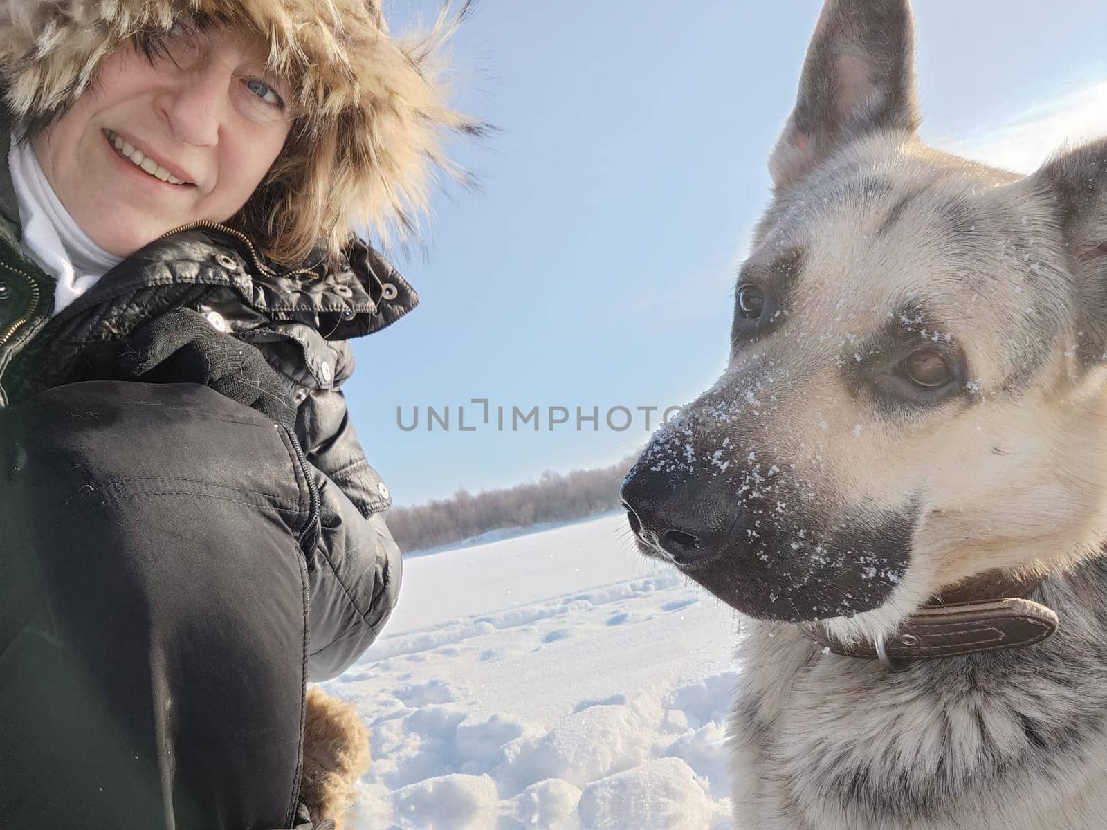 Adult girl or middle aged woman in a jacket with fluffy fur hood with shepherd dog in nature in winter on cold sunny day